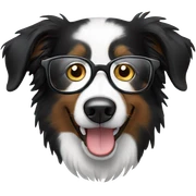 Border collie wearing glasses  sticker