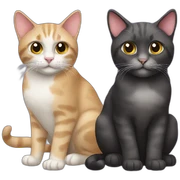 two cats sticker
