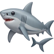 Little shark sticker