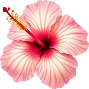 hibiscus sticker