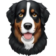 Bernese mountain dog sticker