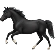 black mustang sticker