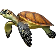 Sea turtle sticker
