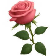 Rose book sticker