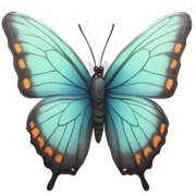 butterfly  sticker