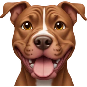 brown pitbull dog  sticker