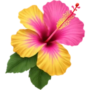 yellow and pink hibiscus flower sticker
