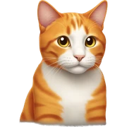 Orange cat  sticker