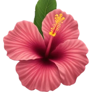 hibiscus sticker