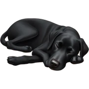 Black lab sleeping on her back sticker