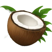 Coconut  sticker