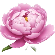 Peonies  sticker