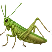 Locust sticker