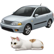 Cat car sticker