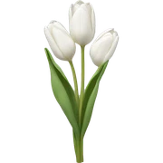White tulips  sticker