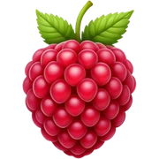 Raspberry  sticker