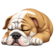 English bulldog sleeping sticker