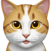 kedi sticker