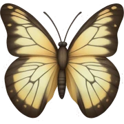 Butterfly  sticker