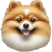 Pomeranian dog  sticker