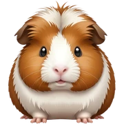 Meerschweinchen  sticker