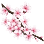 Pink and white sakuras sticker