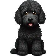Black golden doodle  sticker