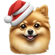Pomeranian wearing a Christmas cap  sticker