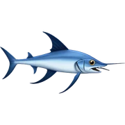 Swordfish  sticker
