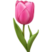Pink tulips with a bow sticker