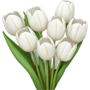 white tulip bouquet  sticker