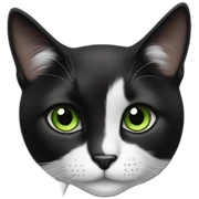 black and white cat greener eyes sticker