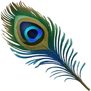 peacock feather sticker