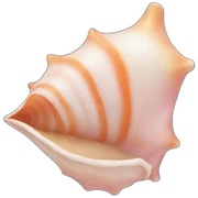 conch sticker