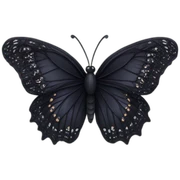 Black lace butterfly sticker