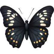Black butterfly  sticker