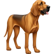 Tan bloodhound  sticker