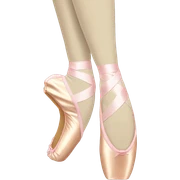 pointe shoes sticker