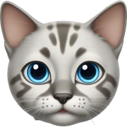 cat with blue eyes sticker