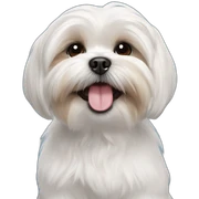maltese shih tzu- smile sticker