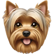 Yorkie  sticker