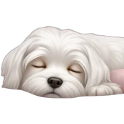 maltese dog sleeping sticker