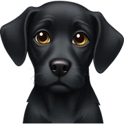 Black dog sticker
