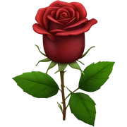 rose  sticker