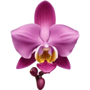 Orquídea pink sticker