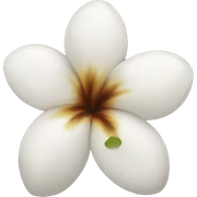 monoi flower sticker