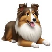 Shetland sheepdog sticker