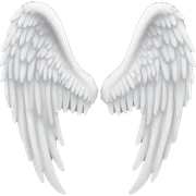 angel wings sticker