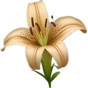 light brown lilium sticker