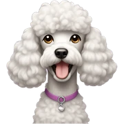Poodle  sticker